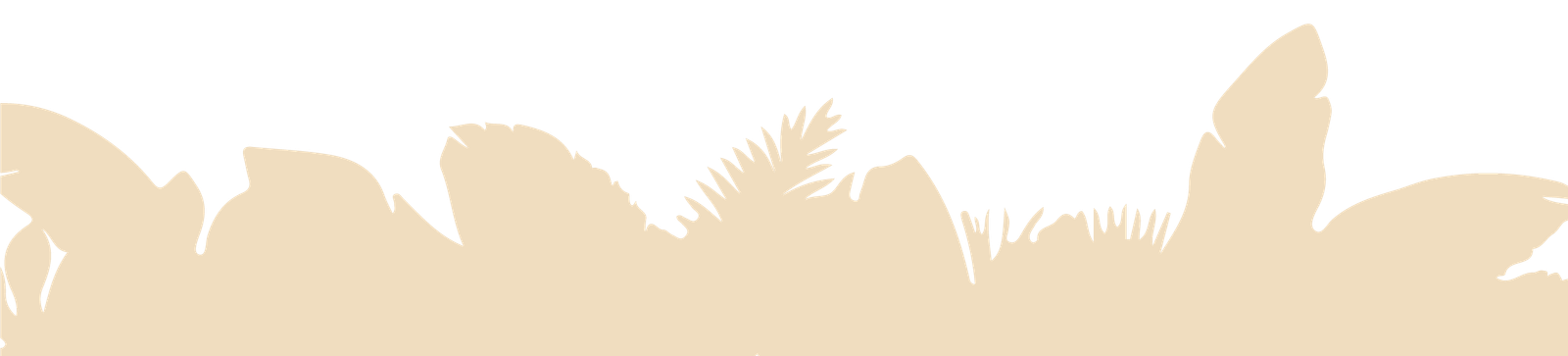 Agua-de-Coco-corte-beige.png